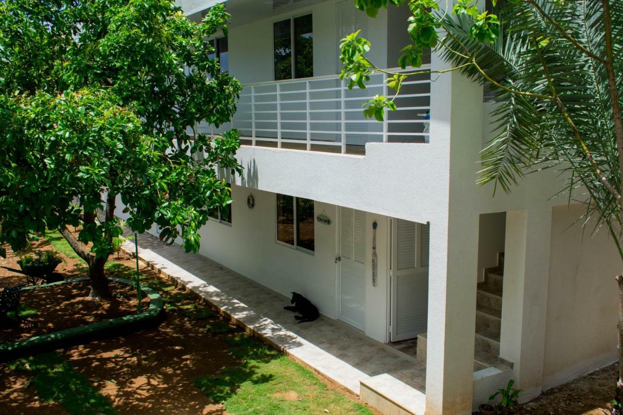 Zaboka Sai Bed & Breakfast San Andrés Dış mekan fotoğraf